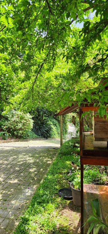 Casas e apartamentos de temporada para 3 pessoas, com jardim em Bento Gonçalves