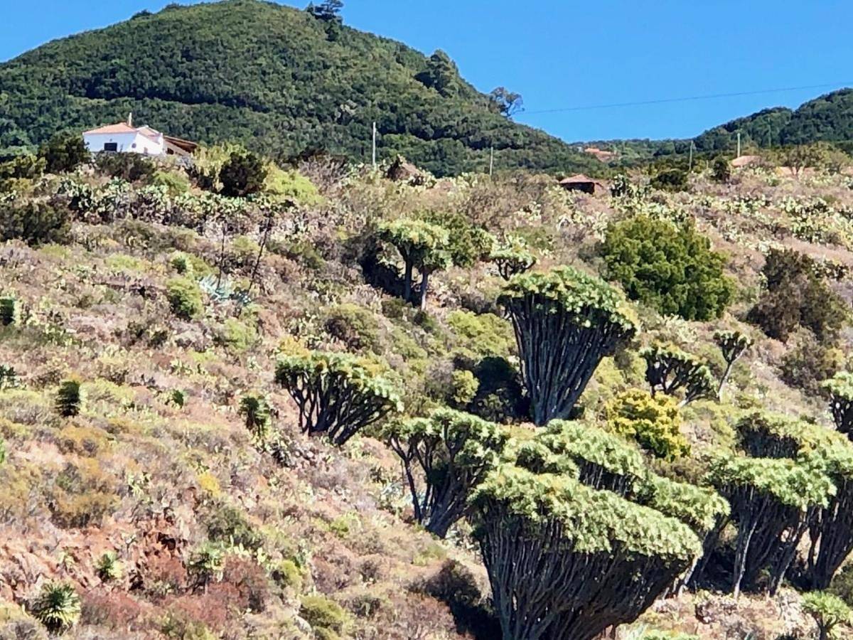 Casa Rural Los Barranquitos in Garafía, La Palma Nord