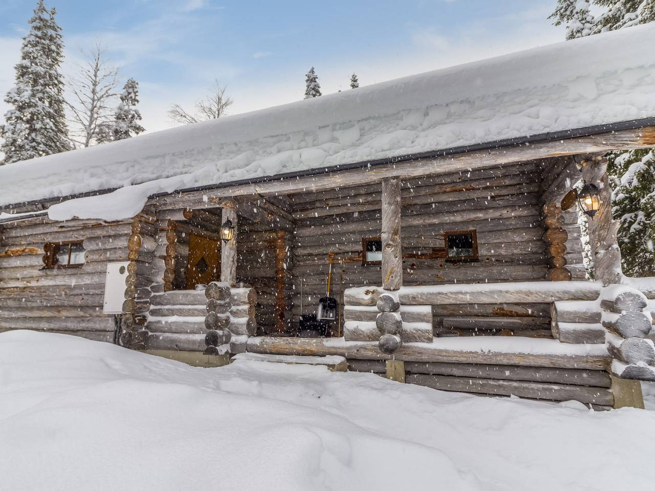 Mäkikelo in Lappland