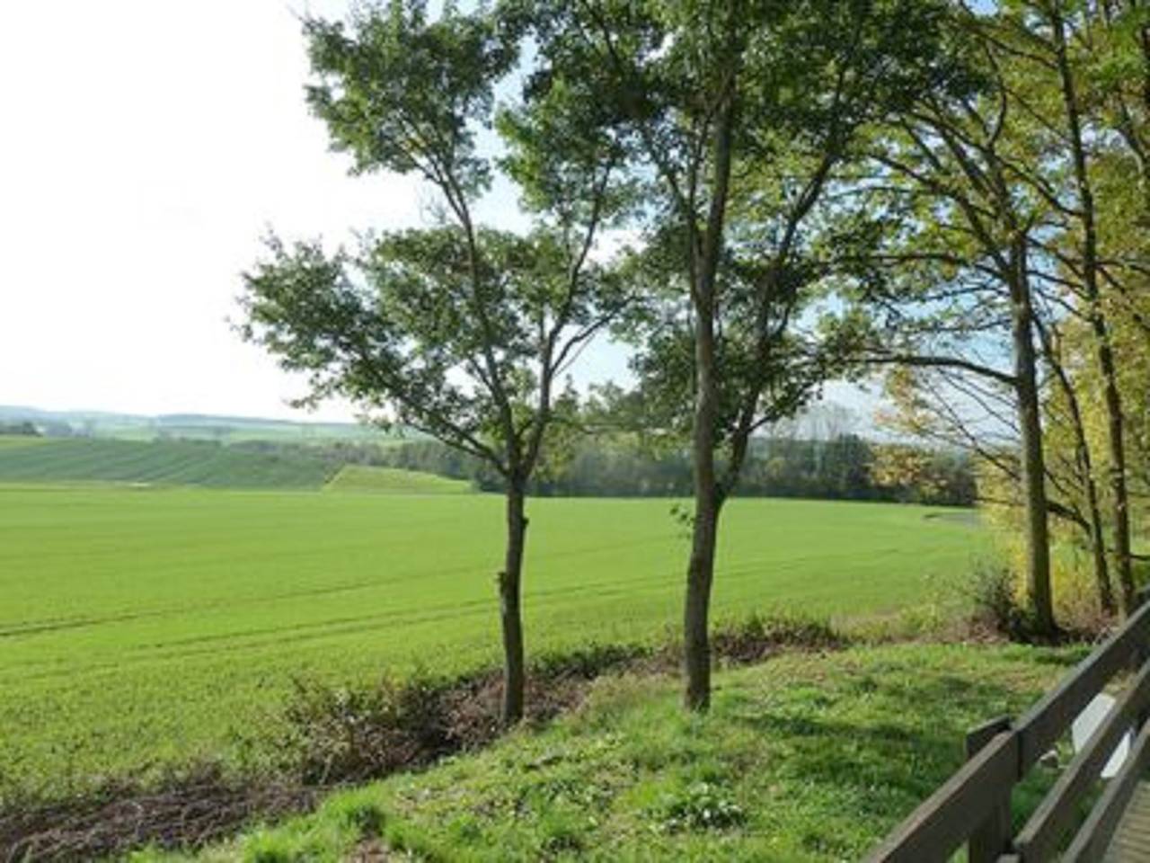 Ganze Wohnung, Feriendorf Sulzfeld - Ferienhaus Amsel mit Terrasse in Sulzfeld, Rhön-Bayern