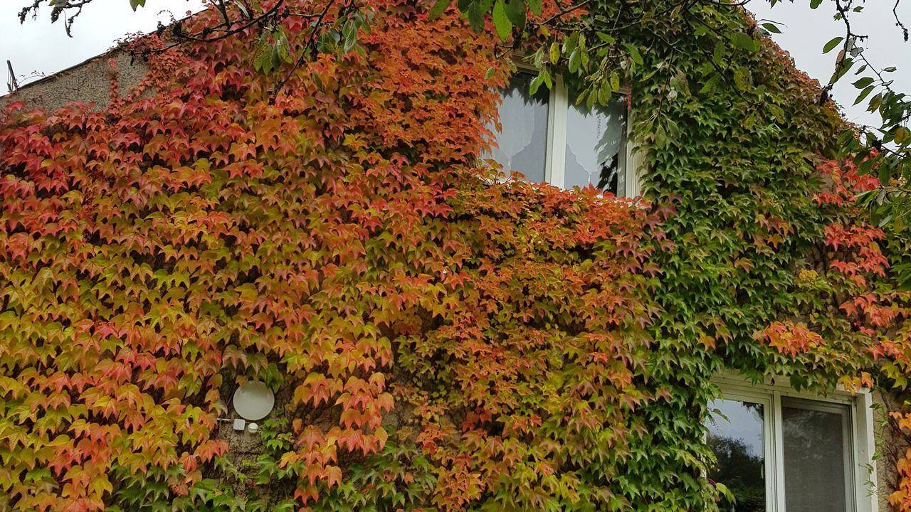 Ganze Ferienwohnung, Ferienwohnung für 6 Personen (70 m²) in Nietwerder in Neuruppin, Ruppiner Seenland