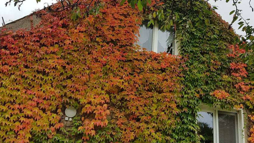 Ferienwohnung für 6 Personen, mit Garten in Neuruppin - 3