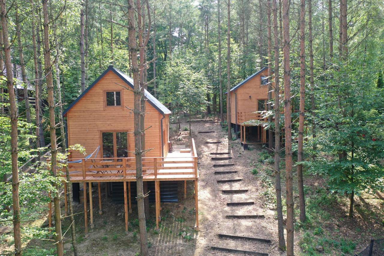 Lasoterapia (Foresttherapy) in Powiat wejherowski