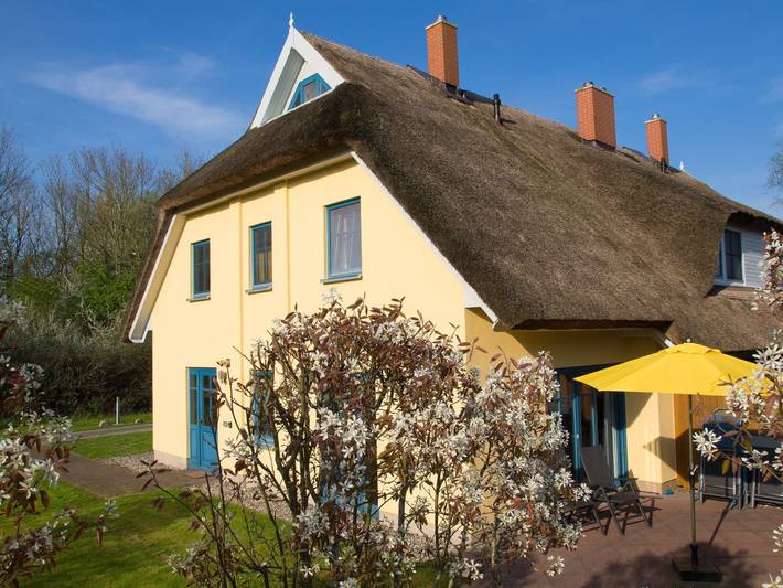 Ferienhaus für 6 Personen, mit Terrasse und Garten in Poseritz - 3