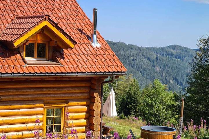 Ferienhaus für 14 Personen, mit Garten und Sauna sowie Whirlpool, mit Haustier in Feldberg