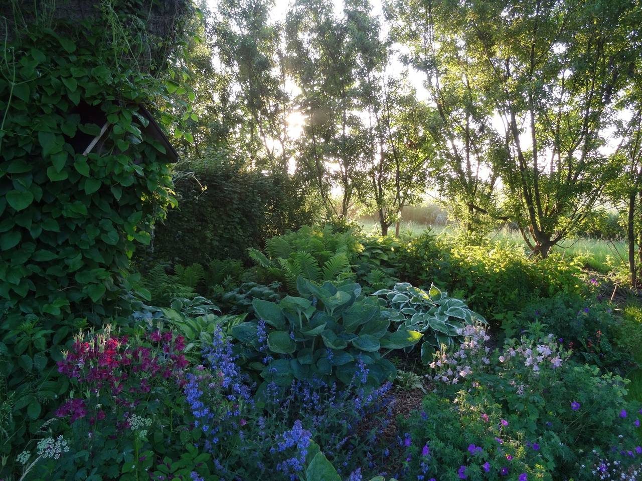 Ganze Wohnung, Canadahof in Pellworm, Nordseeküste