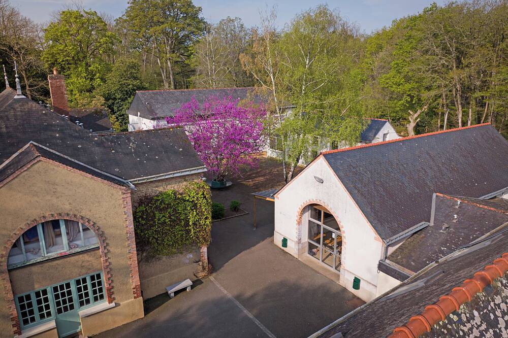 Grand campus en Anjou – Idéal pour groupes / cousinades à partir de 30 personnes in Bécon-les-Granits, Vallée de la Loire