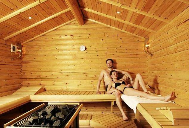 Hotel für 2 Personen, mit Ausblick und Sauna sowie Garten und Pool in Mühlviertel - 2