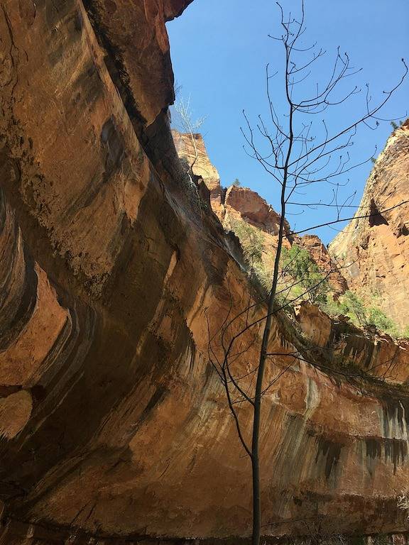Privater Pool 4Br 3Ba Haus in der Nähe von Zion mit 2 Master-Suiten in Hurricane, Zion Nationalpark