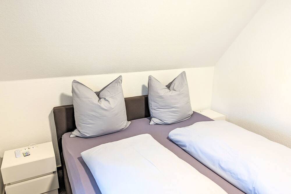 Ganze Wohnung, Graugans in Freiburg (Elbe), Cuxland