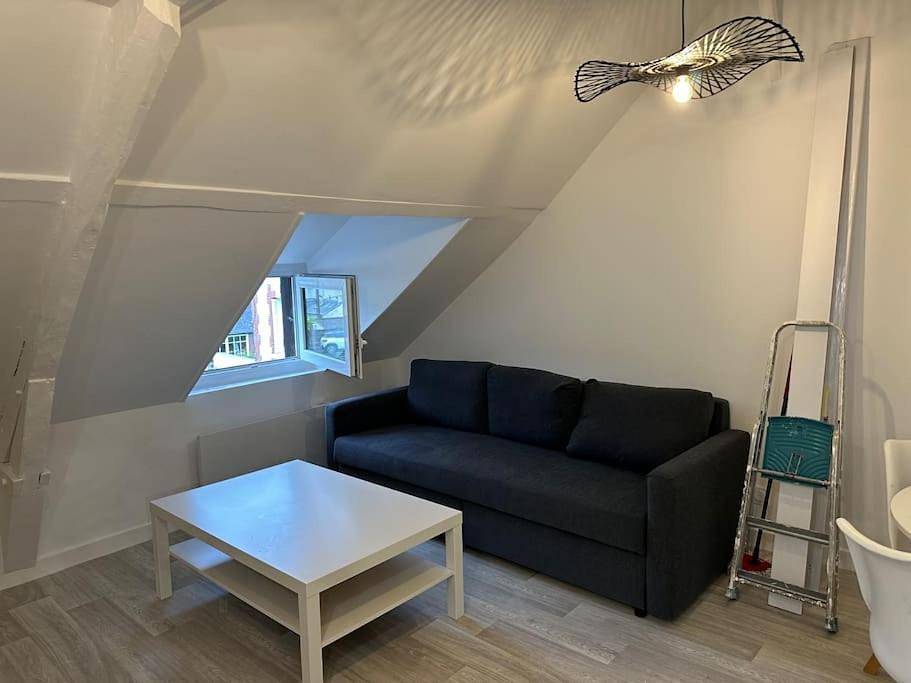 Appartement entier, One-Bedroom Apartment in Lillebonne, Région du Havre