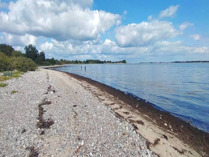Ferienhaus für 4 Personen, mit Whirlpool und Terrasse sowie Sauna und Garten, kinderfreundlich in Flovt Strand - 2