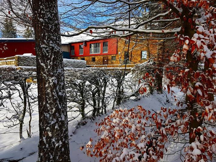 Vennhof - Doppelzimmer in Monschau, Nature park Hautes Fagnes