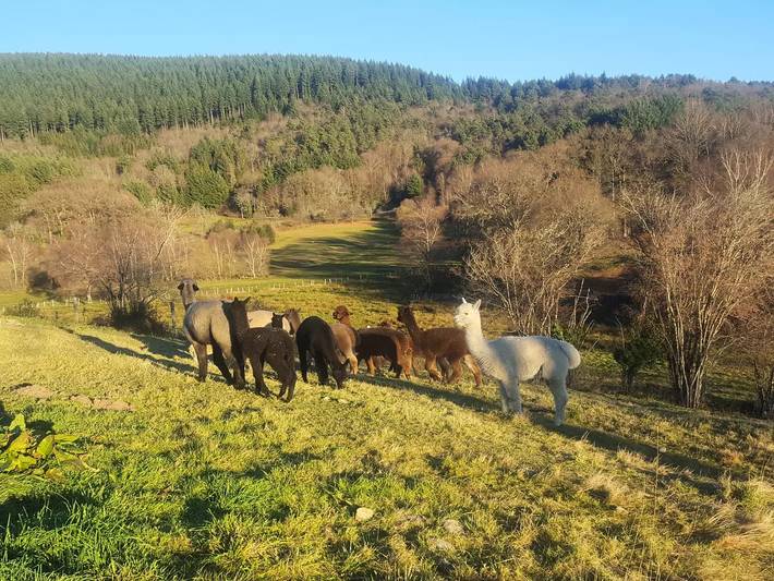 Gîte pour 6 personnes à Chaumeil