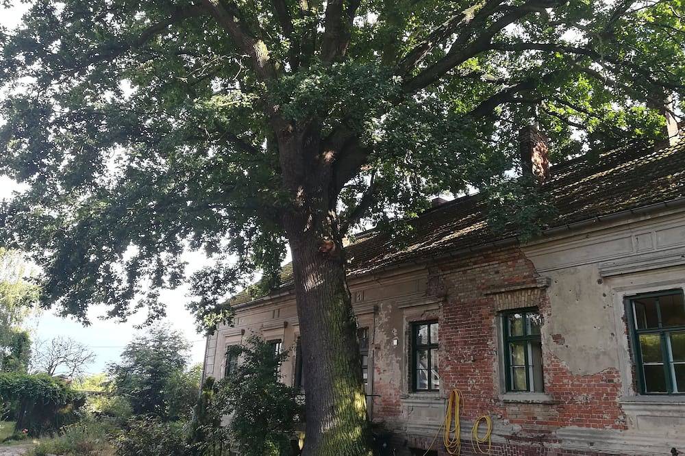 Ganze Wohnung, Hundertjähriges Haus neben noch älterer Eiche mitten im Feld in Letschin, Märkische Schweiz-Oderland