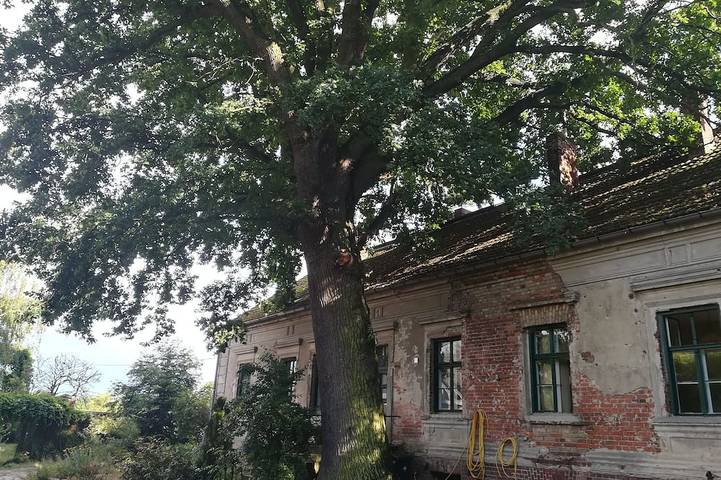 Ferienwohnung für 11 Personen, mit Garten in Oderbruch