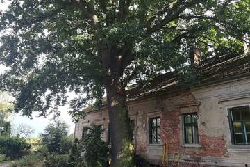 Ferienwohnung für 11 Personen, mit Garten in Oderbruch