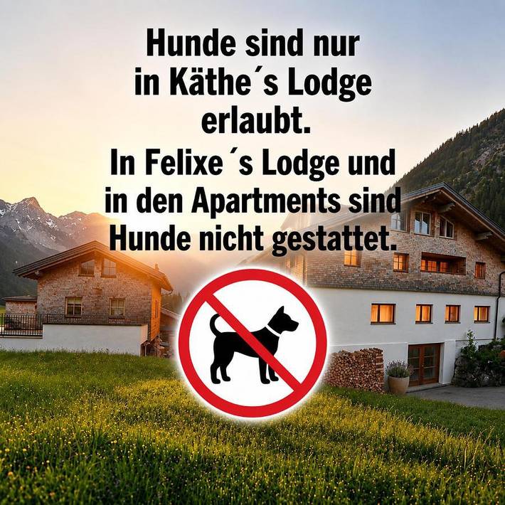 Ferienwohnung für 4 Personen, mit Ausblick am Haldensee - 3