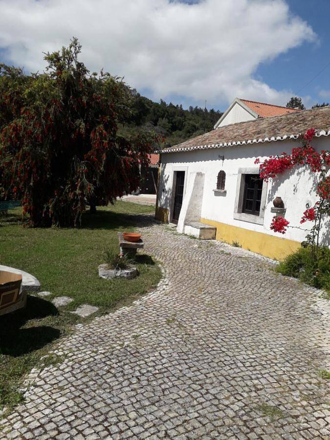 Heaven House in Praia do Ouro, Sesimbra (Castelo)