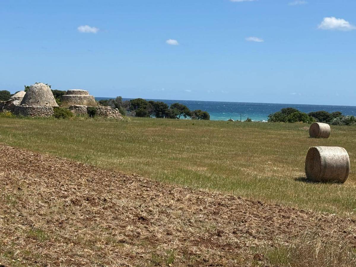 Le Scale di Pietra in Conversano, Provincia di Bari
