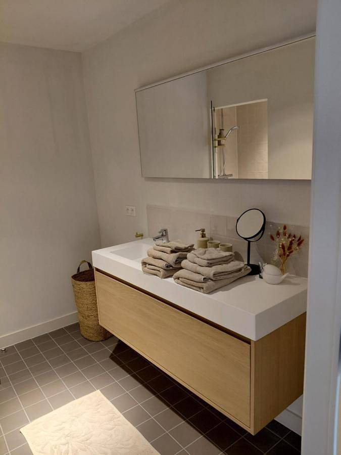 Location de vacances pour 2 personnes, avec terrasse et vue à Turnhout - 3