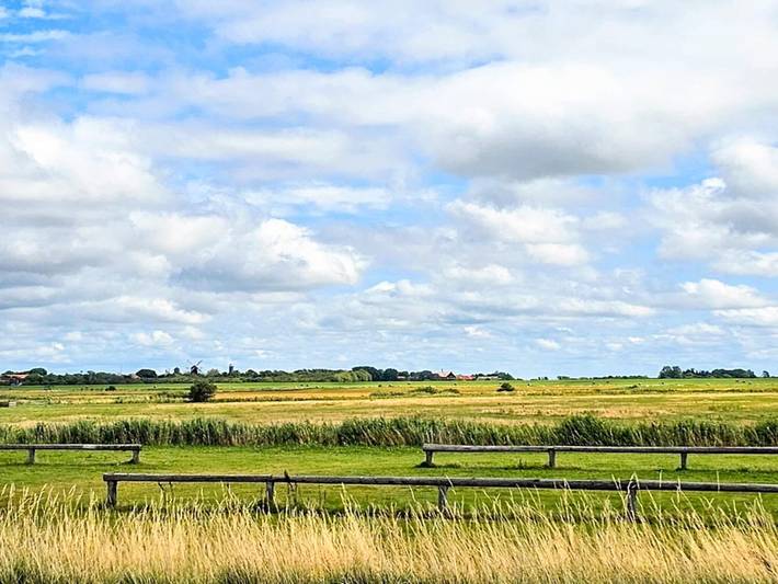 Ferienhaus für 16 Personen, mit Terrasse und Garten sowie Pool in Højer - 2