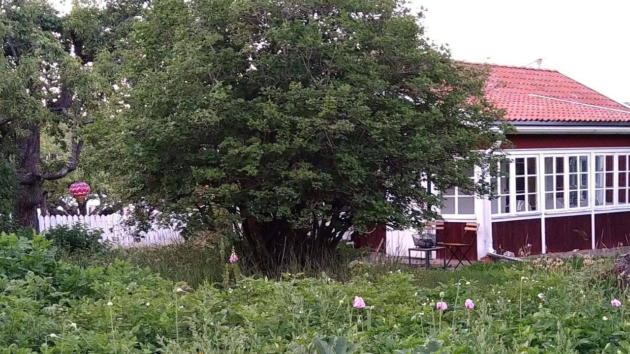 Ferienhaus für 5 Personen (40 m²) in Eskilstuna in Mälaren