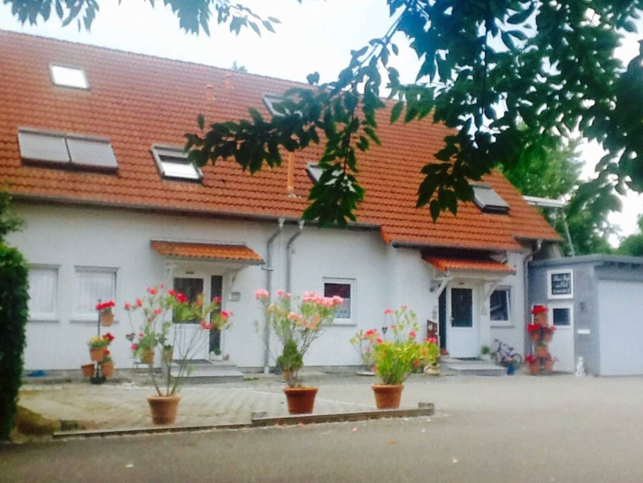 Ganze Ferienwohnung, Haus Inge am Park - Haus Inge am Park _Fewo im Eg in Kenzingen, Südschwarzwald