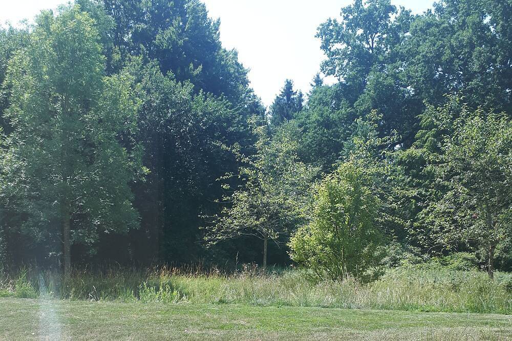 Ganze Wohnung, Idyllische/ruhige Ferienwohnung in Biberach an der Riß, Oberschwaben