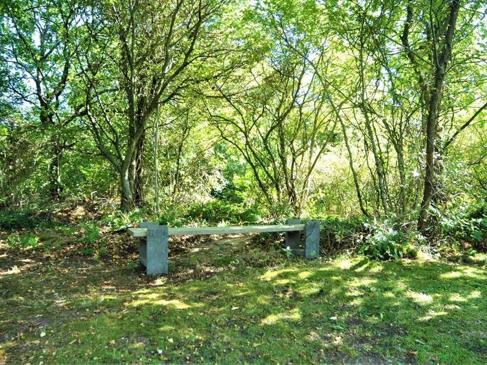 Ferienhaus für 8 Personen, mit Whirlpool und Terrasse sowie Garten und Sauna in Nørhede Vest - 4