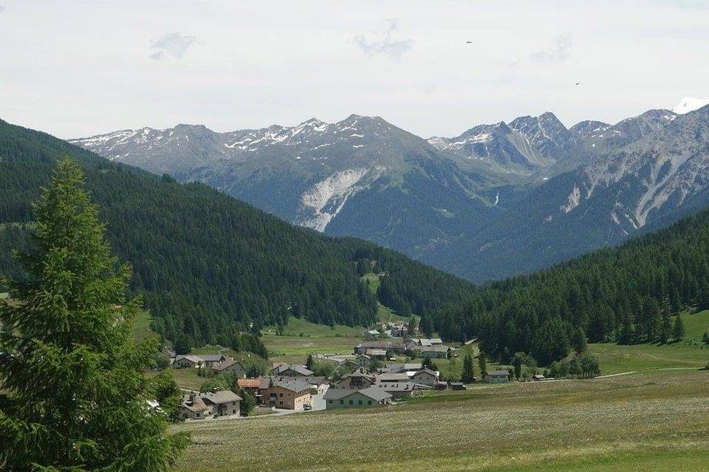 Ganze Wohnung, Chasa Müfaits Parterre, (Tschierv) in Tschierv, Val Müstair