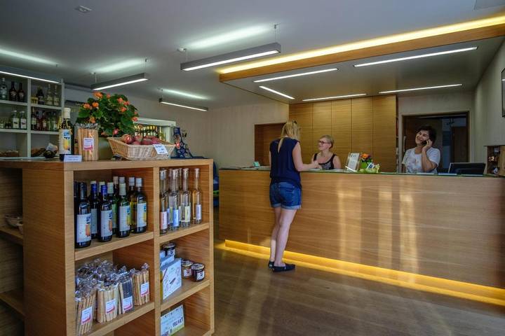 Camping pour 4 personnes, avec terrasse ainsi que piscine et vue, animaux acceptés en Suisse - 4