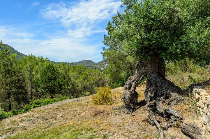 Ferienhaus für 10 Personen, mit Terrasse und Garten in St Llorenc de Balafia - 2