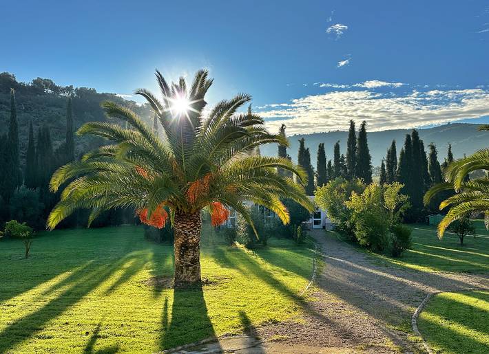Chalet para 4 personas, con terraza y jardín en Sierra de Cádiz - 2
