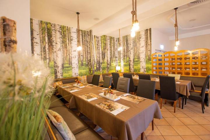 Hotel für 3 Personen, mit Terrasse und Sauna in Lengenfeld - 3