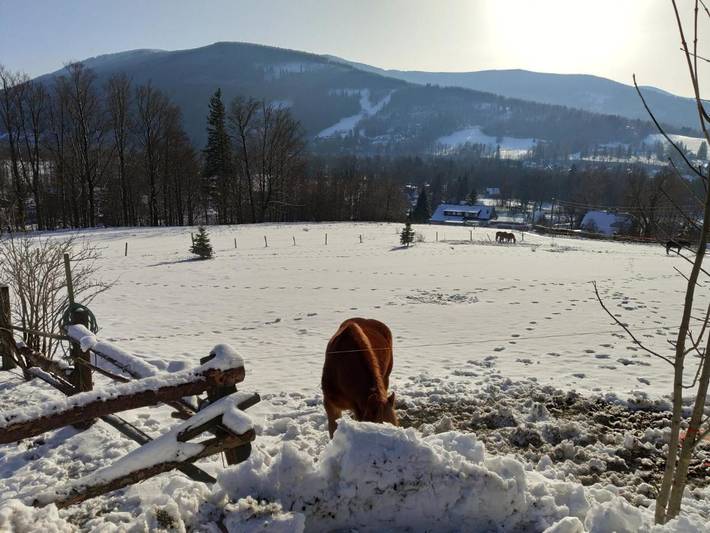 BnB für 13 Personen, mit Whirlpool und Garten in Tschechien - 4