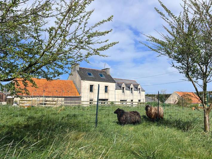 Maison de vacances pour 6 personnes, avec Terrasse et Jardin