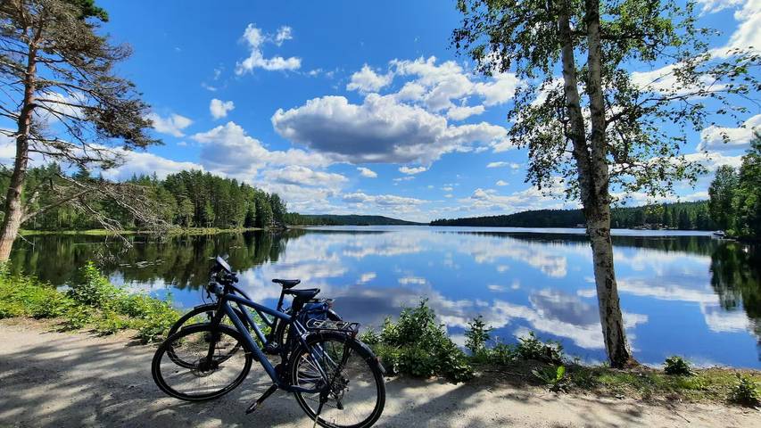 Idyllische Ferienhaus Oase am Waldrand unweit vom See in Ljusnarsberg, Örebro und Umgebung