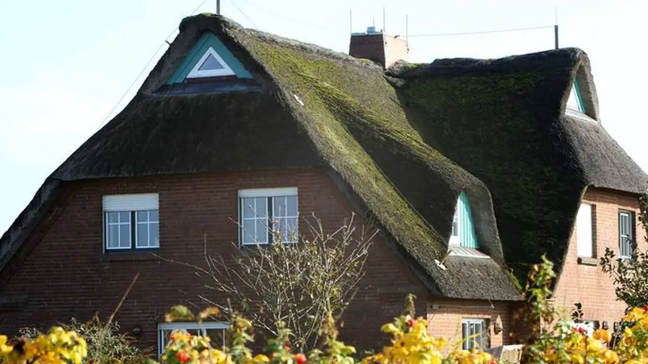 Ferienhaus für 5 Personen (80 m²) in Friedrichskoog in Friedrichskoog-Spitze, Friedrichskoog