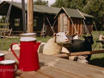 Gîte pour 15 personnes, avec balcon/terrasse et terrasse à Torhout