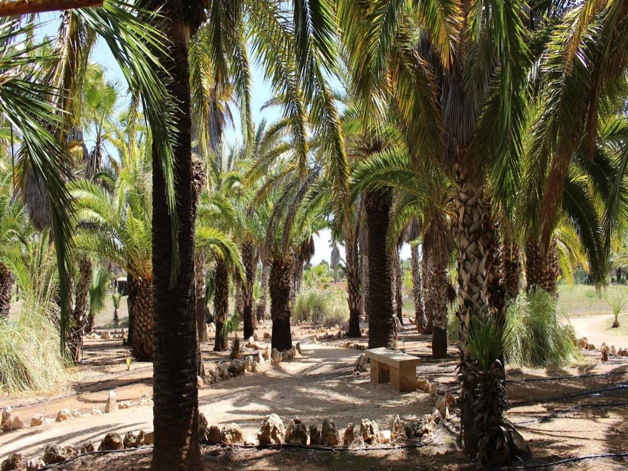 Villa à Ses Salines avec piscine privée in Ses Salines, Majorque du Sud