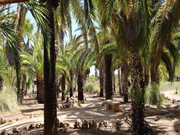 Ferienhaus für 6 Personen in Ses Salines, Mallorca Süden, Bild 4