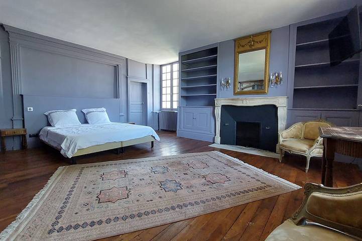 Castle 14 people with 6 bedroom near Bourges in Farges-Allichamps, Saint-Amand-Montrond