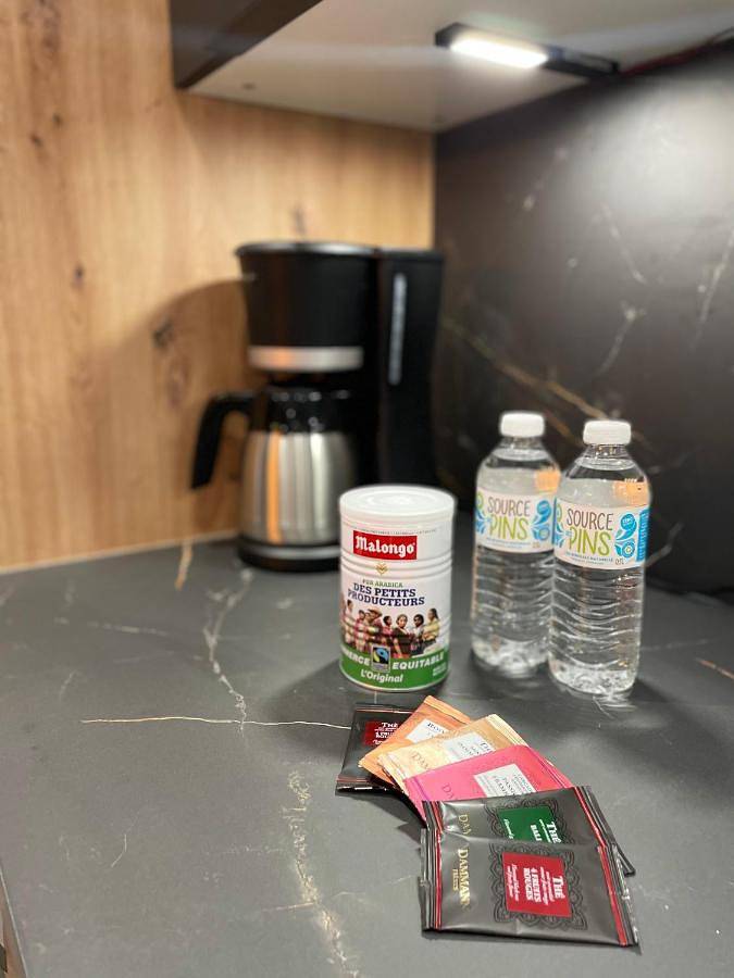 Gîte pour 4 personnes dans Theatre Des Feuillants Dijon - 4