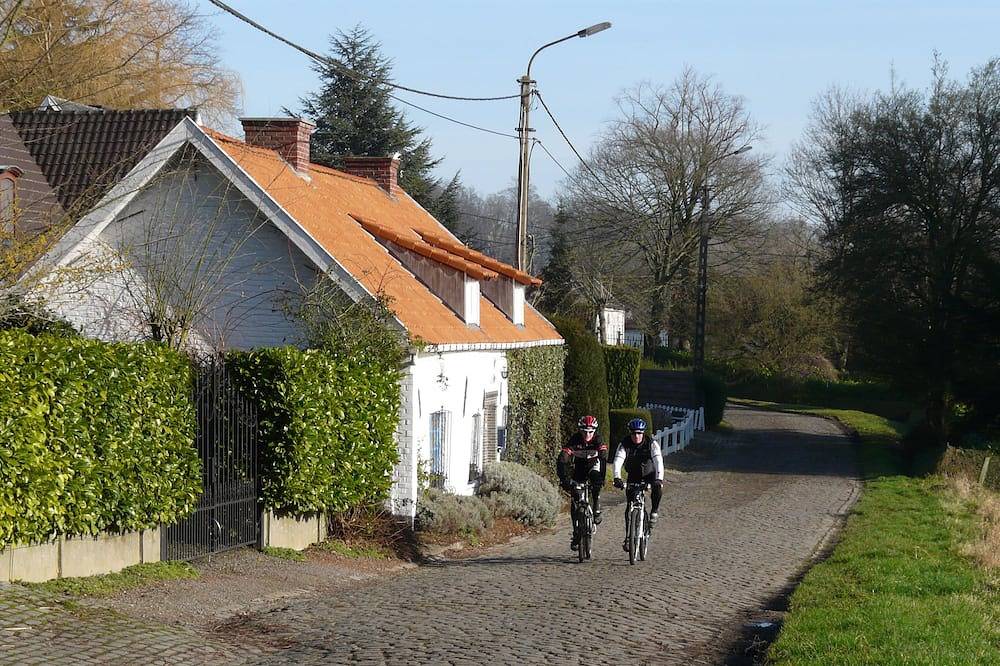 Vakantiewoning La Quitapenas in Ronse, Oost-Vlaanderen