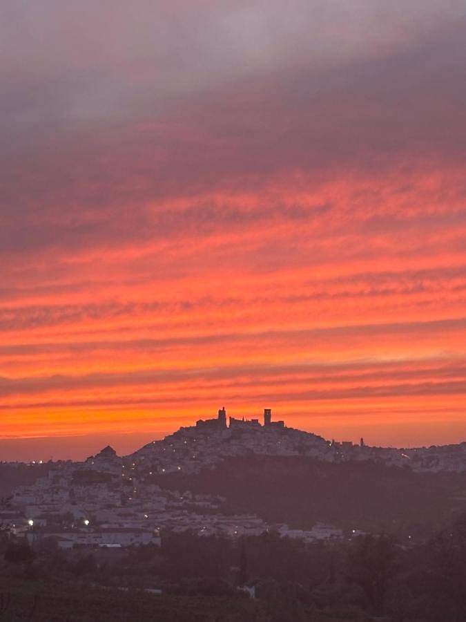 Location de vacances pour 3 personnes, avec jardin ainsi que terrasse et piscine à Arcos de la Frontera - 3
