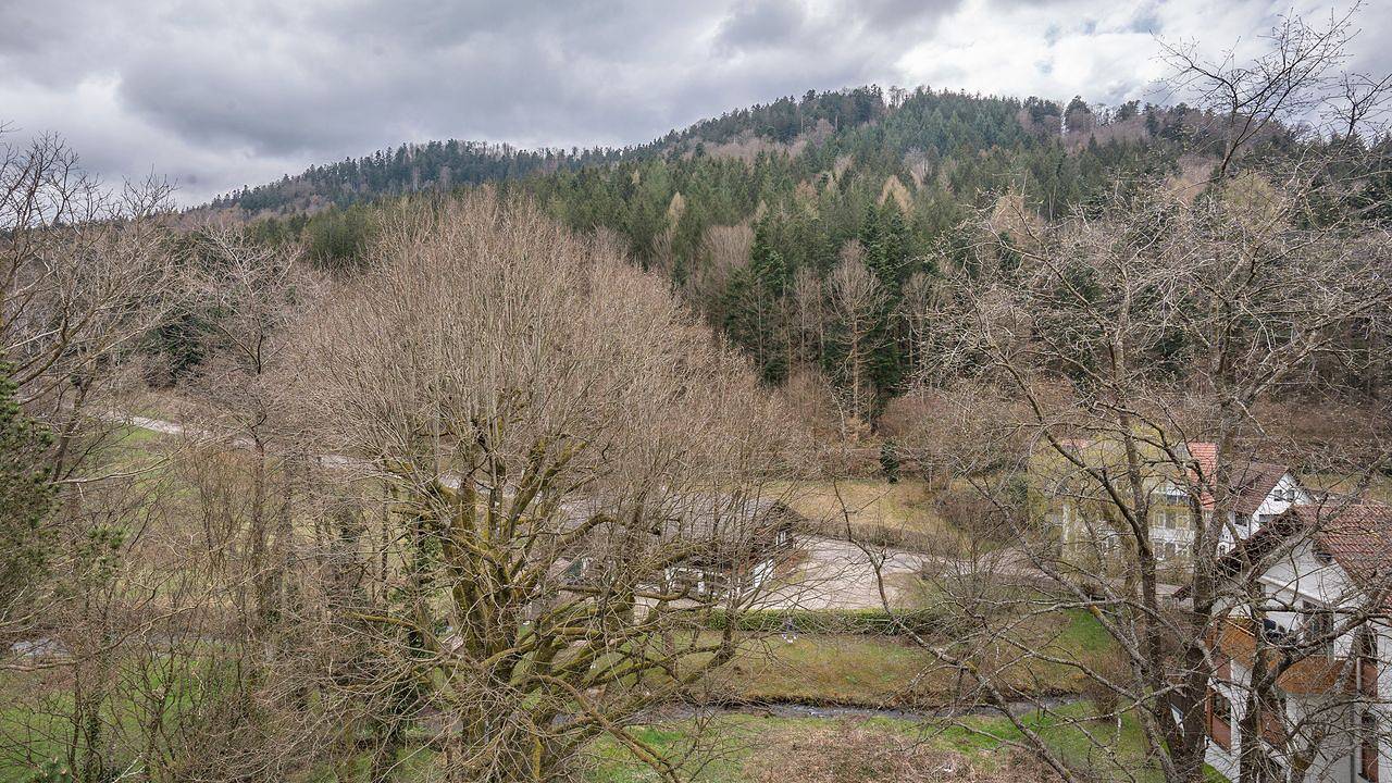 Ganze Ferienwohnung, Ferienwohnung für 4 Personen (60 m²) in Bad Herrenalb in Bad Herrenalb, Nordschwarzwald