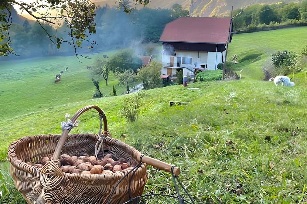 Entire apartment, Apartment 'La Ferme Du Mont Charvin' with Mountain View, Private Terrace and Balcony in Ugine, Albertville region
