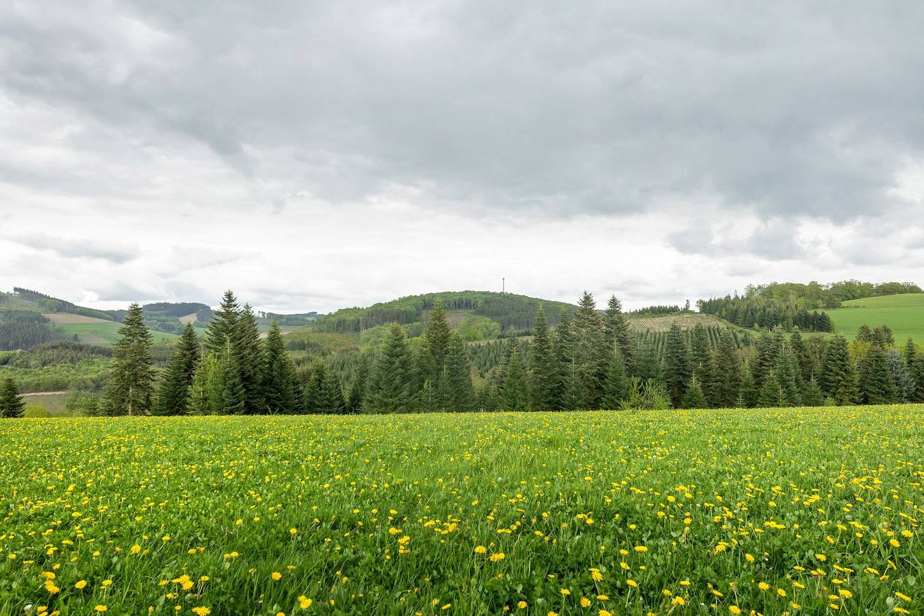 Geheel appartement, Vakantiewoning 'Gartenblick' met privéterras, eigen tuin en wifi in Eslohe, Hochsauerlandkreis