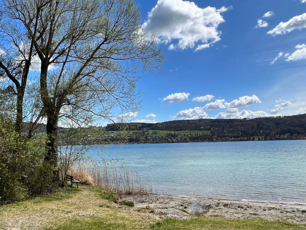 Ganze Ferienwohnung, Primera am See - Primera am See Garden, 60 qm, 1 Schlafzimmer, Sauna, Garten mit Terrassen, max. 3 Personen in Hemmenhofen, Gaienhofen